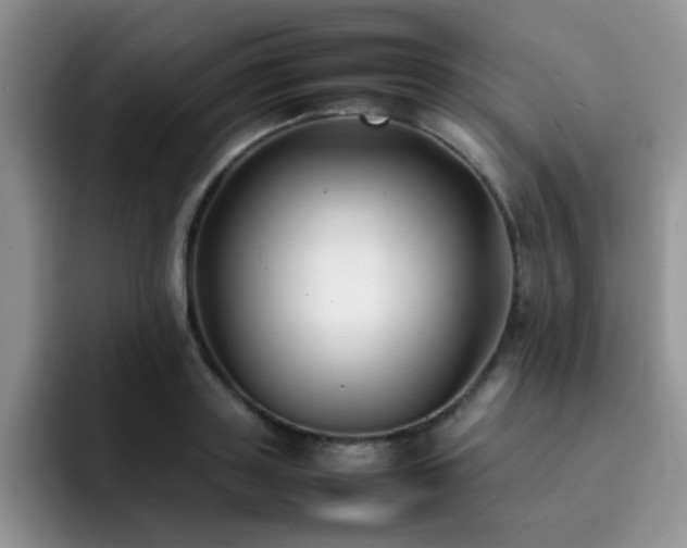 X0000092240843200709141122