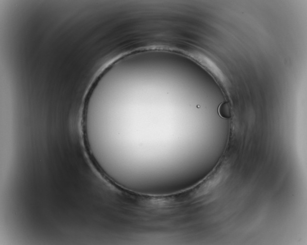 X0000092240847200709141122