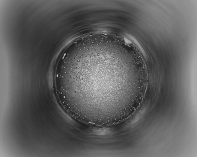 X0000092240851200709141122