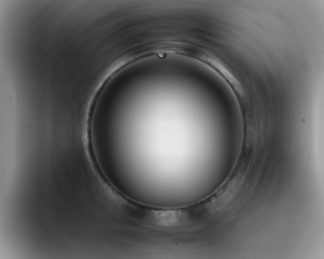X0000092240853200709141122