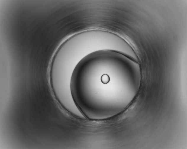 X0000092240854200709141122