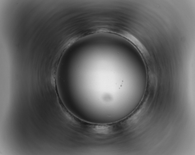X0000092240857200709141122