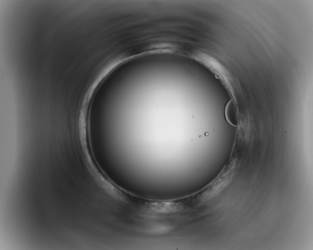 X0000092240859200709141122