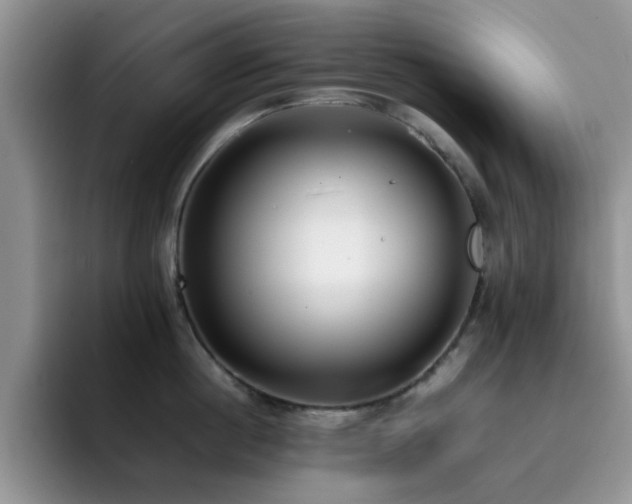X0000092240860200709141122