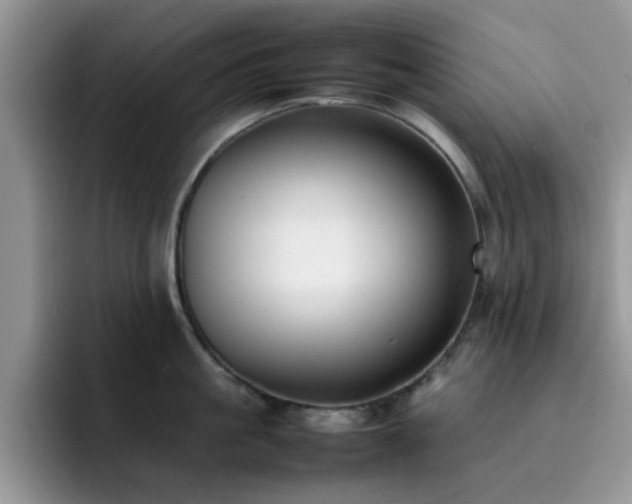 X0000092240861200709141122