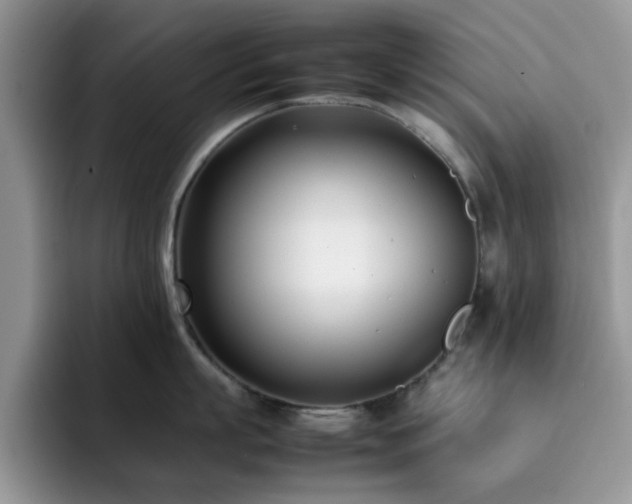 X0000092240863200709141122