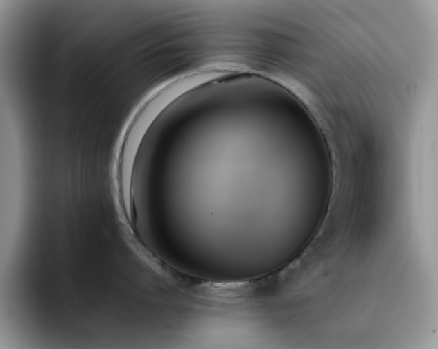 X0000092240864200709141122