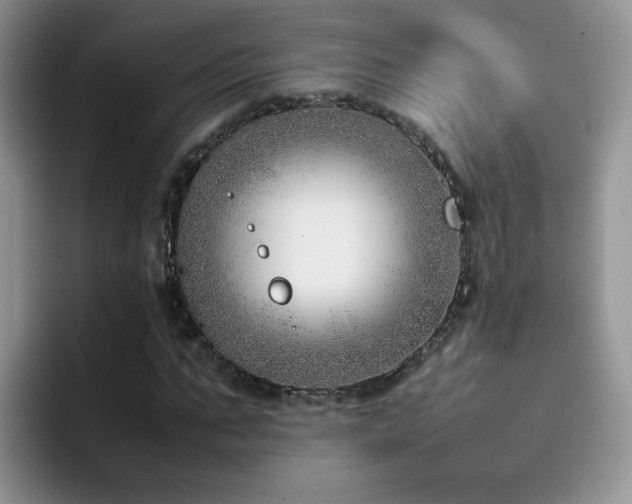 X0000092240871200709141122