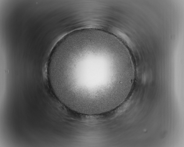X0000092240875200709141122