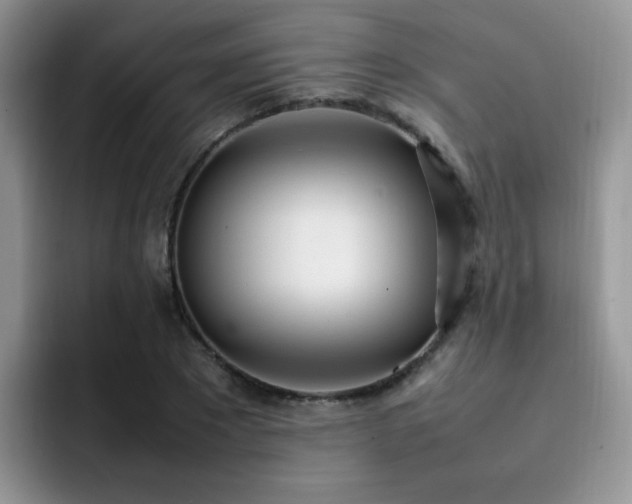 X0000092240881200709141121