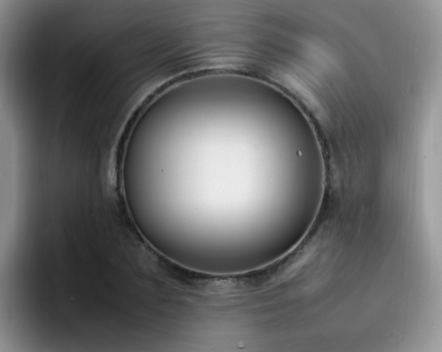 X0000092240883200709141121