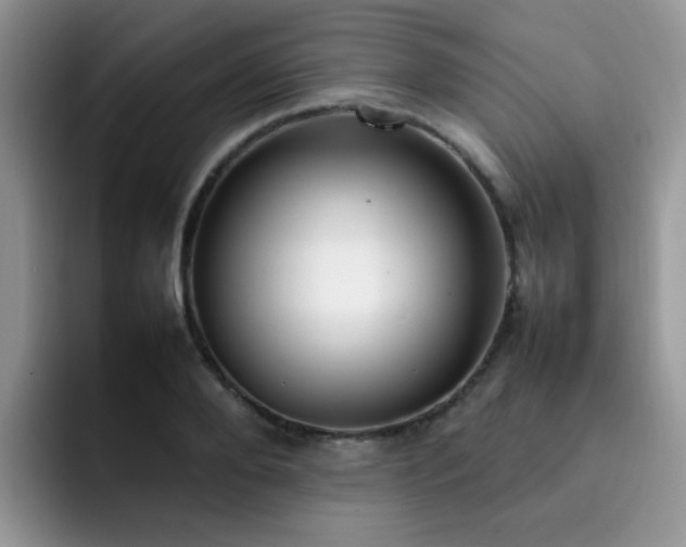 X0000092240888200709141121
