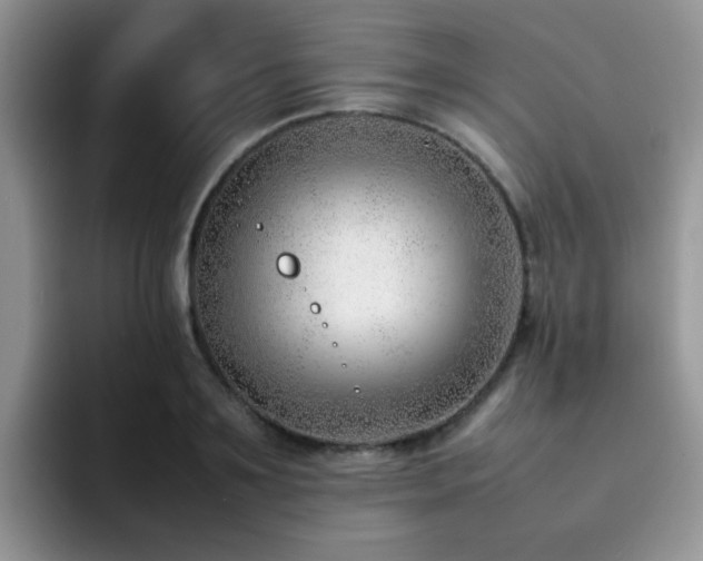 X0000092240891200709141121
