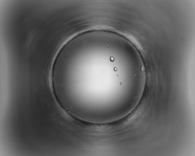 X0000092240895200709141121
