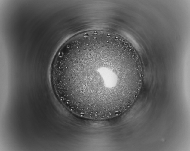 X0000092240899200709141121