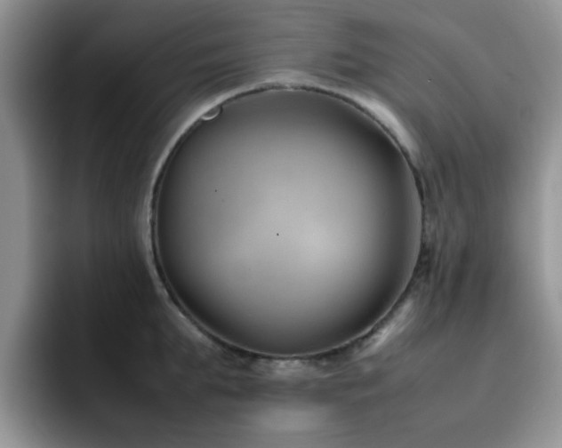 X0000092240903200709141121