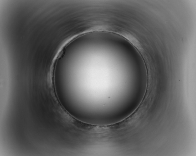 X0000092240912200709141121