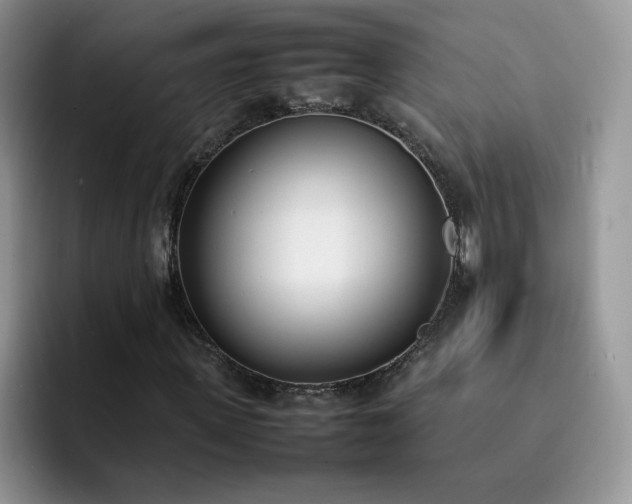 X0000092240915200709141121