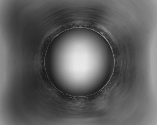 X0000092240919200709141121