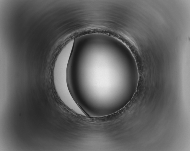 X0000092240920200709141121