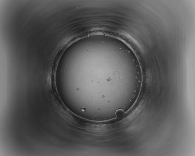 X0000092240921200709141121