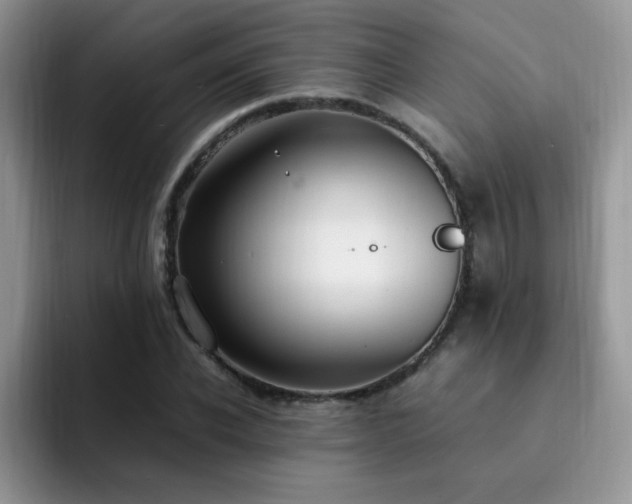 X0000092240926200709141121