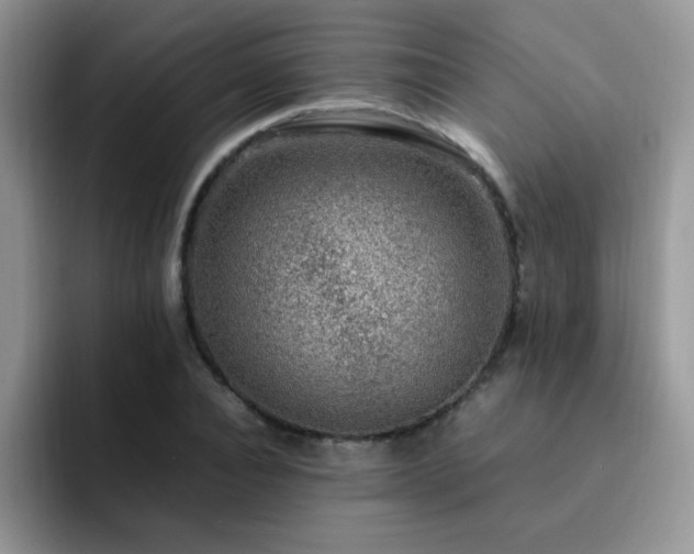 X0000092240928200709141121