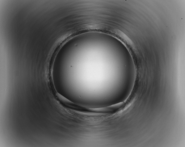 X0000092240930200709141121