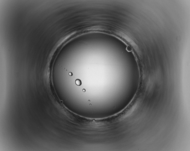 X0000092240933200709141121