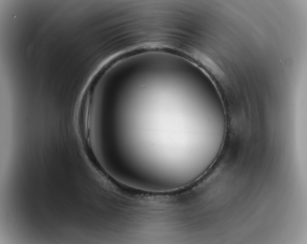 X0000092240934200709141121