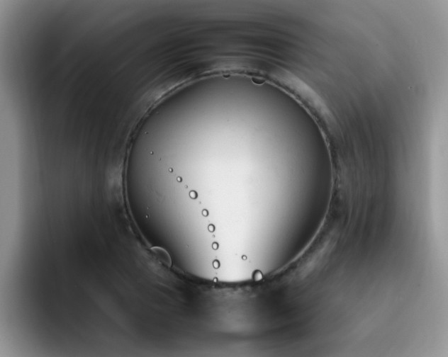 X0000092240937200709141121