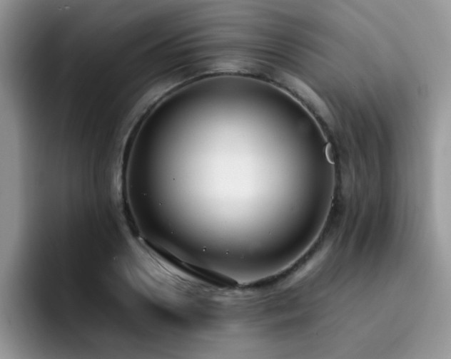 X0000092240938200709141121