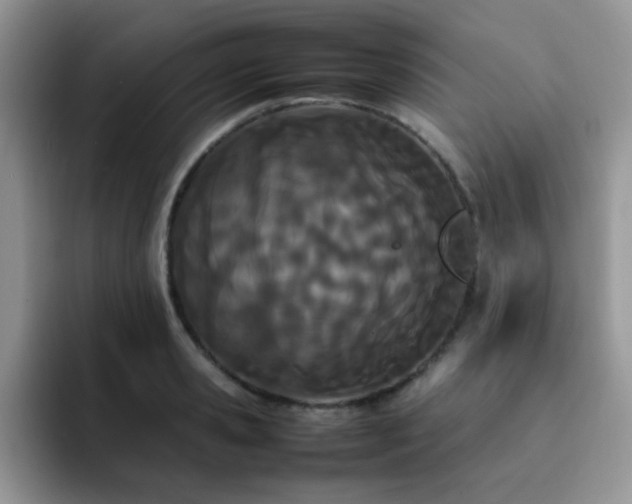 X0000092240941200709141121