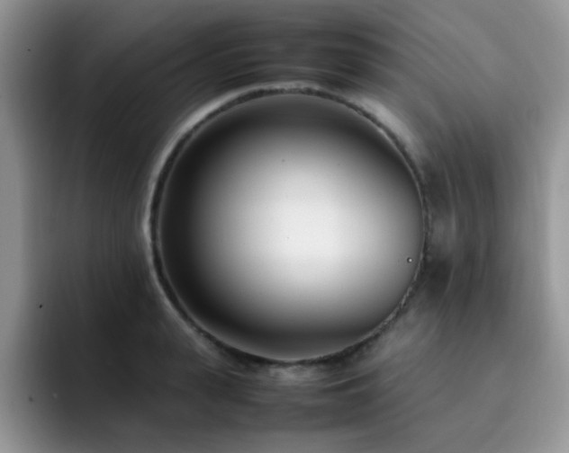 X0000092240943200709141121