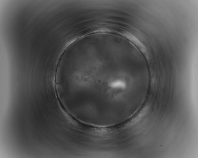 X0000092240945200709141121