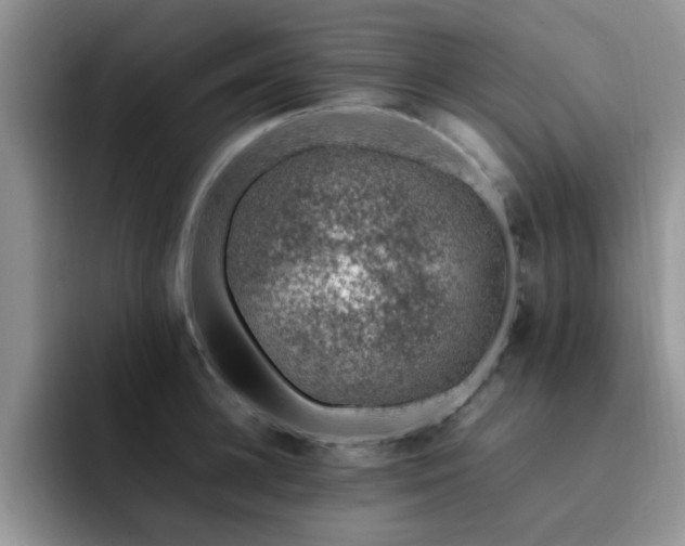X0000092240948200709141121