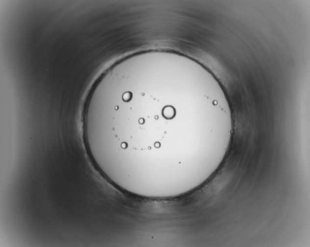X0000092240950200709141121