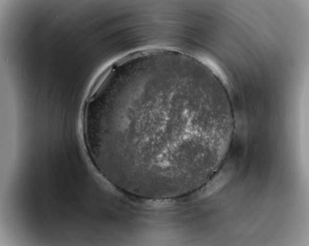 X0000092240952200709141121