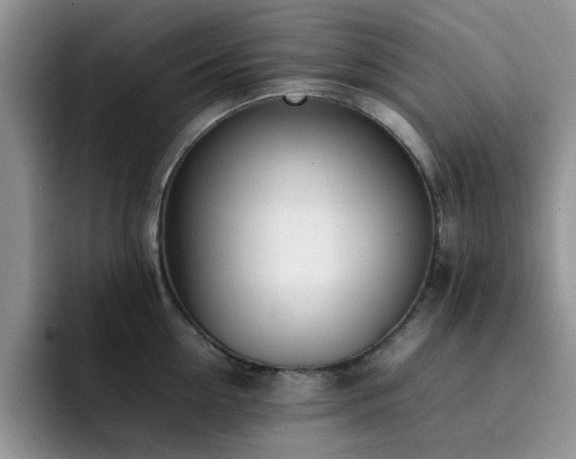 X0000092240954200709141121