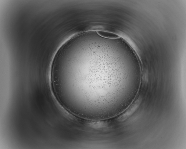 X0000092240957200709141121