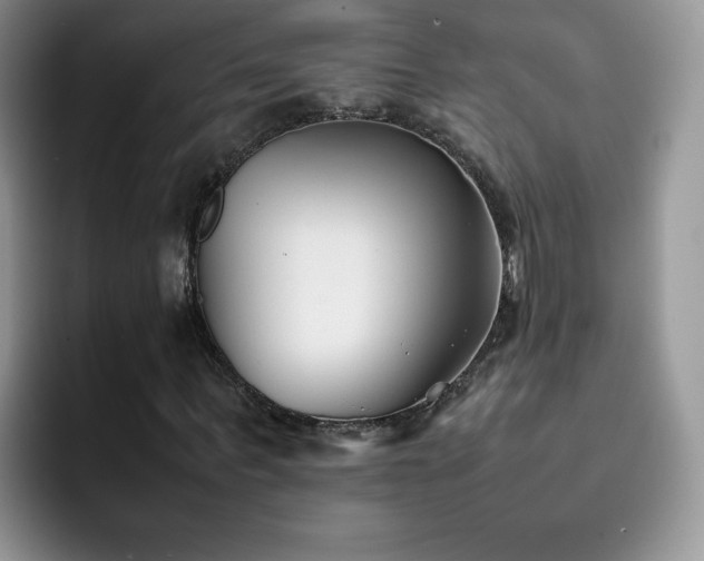 X0000092240963200709141121