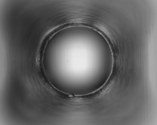 X0000092240971200709141120