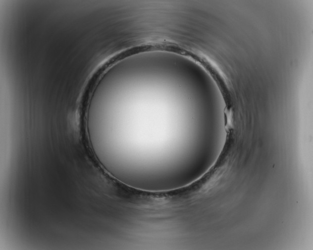 X0000092240975200709141120