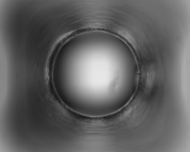 X0000092240979200709141120