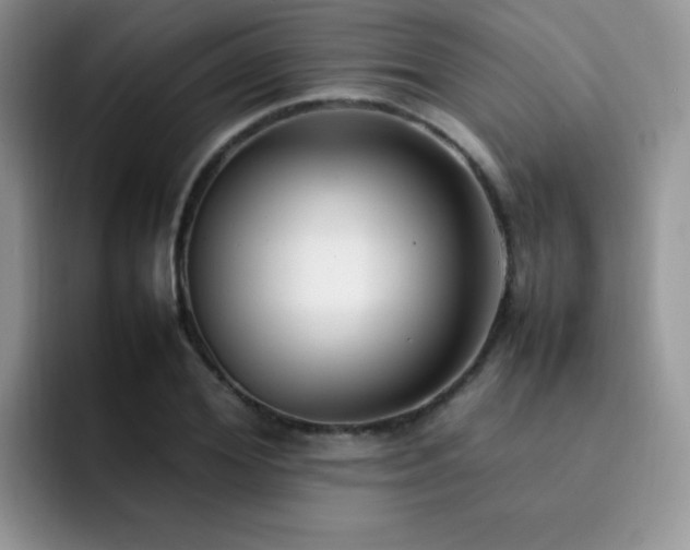 X0000092240980200709141120