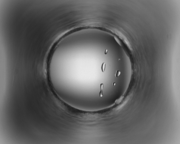 X0000092240981200709141120