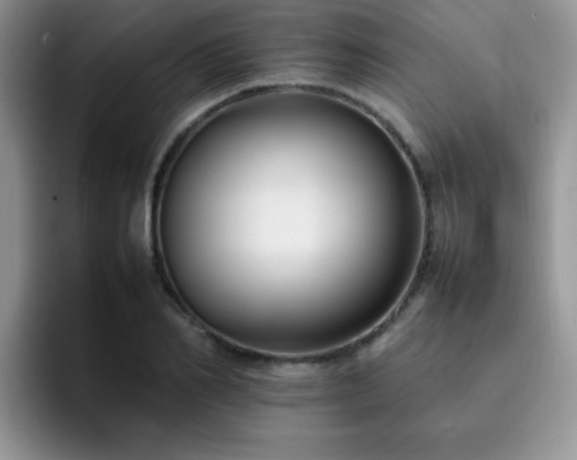 X0000092240982200709141120