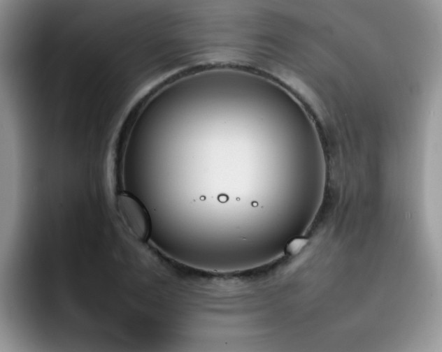 X0000092240983200709141120