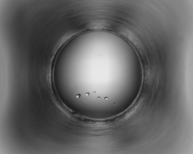 X0000092240986200709141120