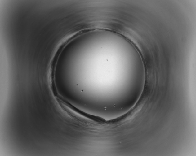 X0000092240987200709141120
